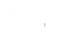 Mindful Meetings